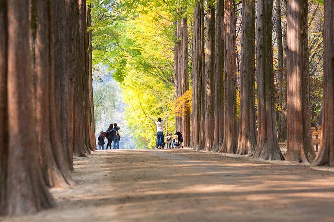 Nami Island and Petite France & Italian Village Day Trip From Seoul