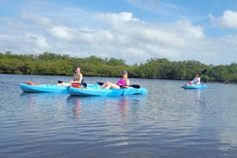Naples, FL: Guided Standup Paddleboard or Kayak Tour