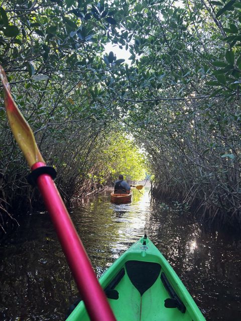 Naples, FL: Manatees, Grasslands and Mangroves Kayak Tour