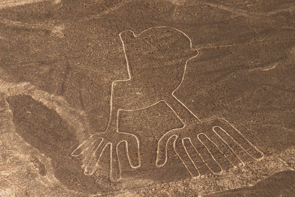 1 nasca lines overflight with lunch from lima Nasca Lines Overflight With Lunch From Lima