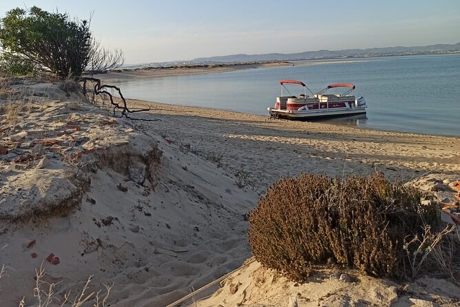 Nature Catamaran Tour From Faro