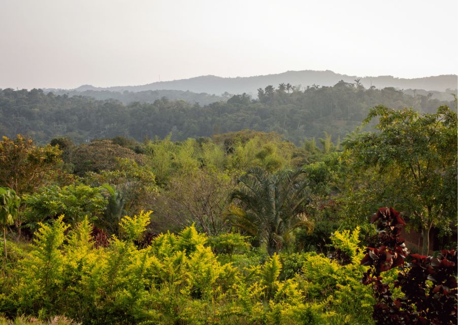 1 nature spiritual trails of coorg guided walking tour Nature & Spiritual Trails of Coorg (Guided Walking Tour)