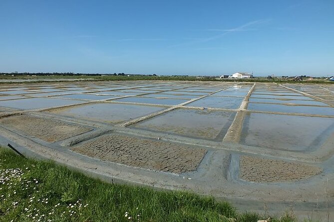 Nature Walk to Discover Noirmoutier and Its Charms