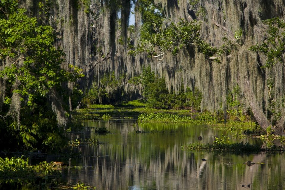 1 new orleans high speed 16 passenger airboat ride New Orleans: High Speed 16 Passenger Airboat Ride