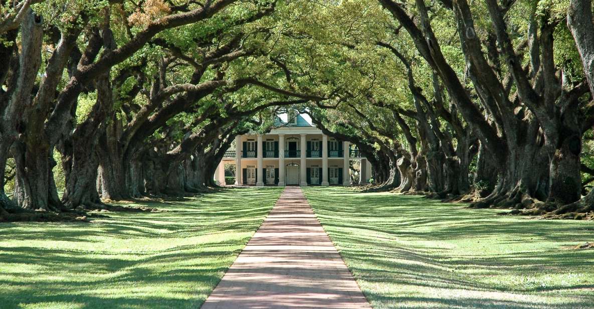 1 new orleans single plantation and pontoon swamp day trip New Orleans: Single Plantation and Pontoon Swamp Day Trip