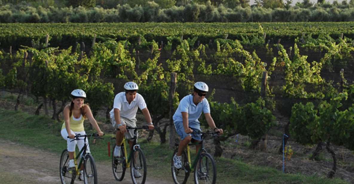 1 niagara on the lake bicycle tour with wine tasting Niagara-On-The-Lake: Bicycle Tour With Wine Tasting