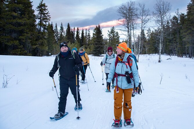 Night Snowshoeing Near Castle Mountain Resort With Local Guide