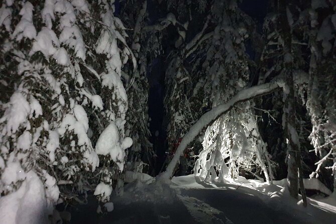 Night Time Ski Tour With Northern Lights Potential
