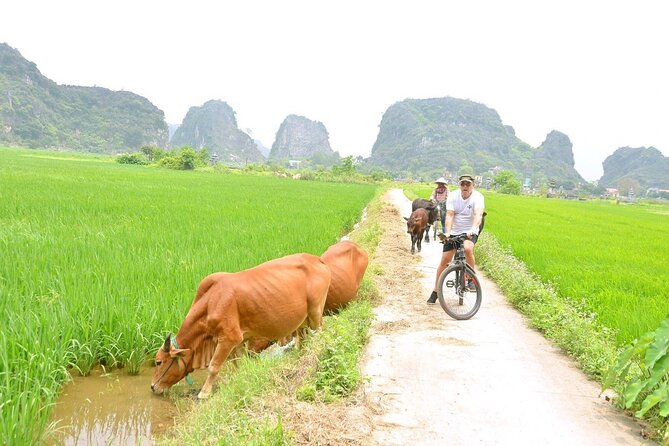 Ninh Binh Full-day at UNESCO Site by A Private Tour From Hanoi