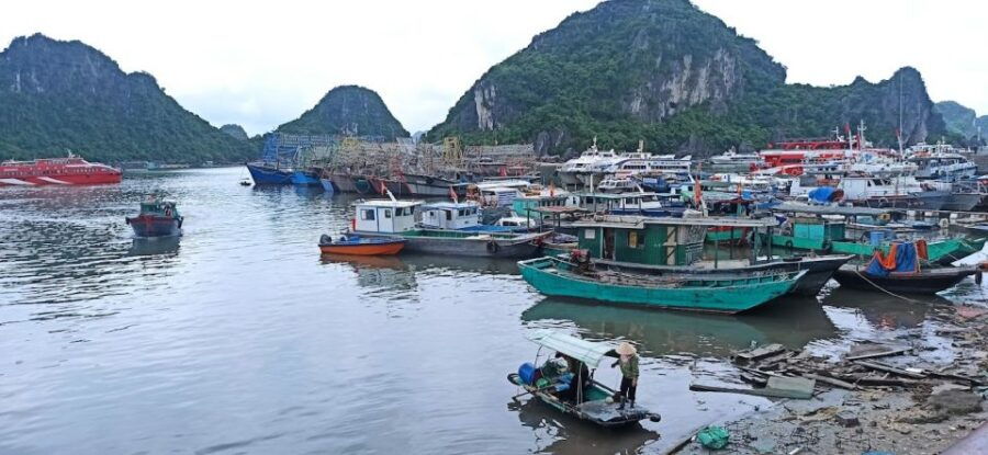 1 nontouristy bai tu long day cruise from hanoi Nontouristy Bai Tu Long Day Cruise From Hanoi