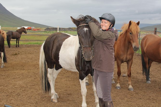 North Iceland: Horseback Riding Tour  – Akureyri