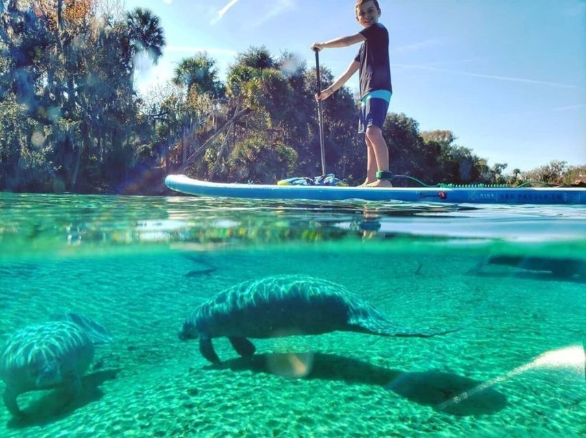 North Miami: Nature & Island Exploration on SUP/Kayak