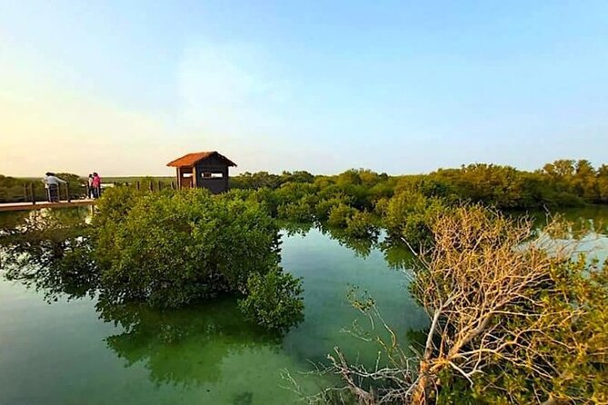 North of Qatar TourZubara Fort, Purple Island & Mangroves Colony
