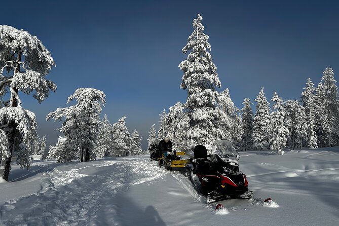 Northern Lights Activity Snowmobile Driving
