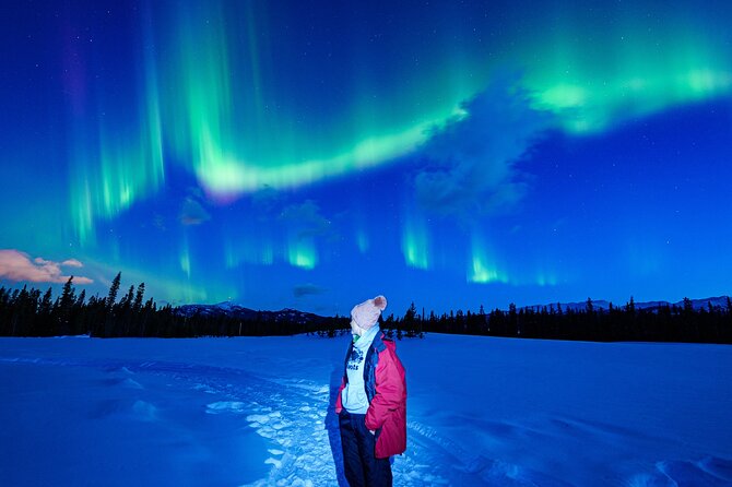 1 northern lights aurora borealis viewing small groups Northern Lights & Aurora Borealis Viewing - Small Groups