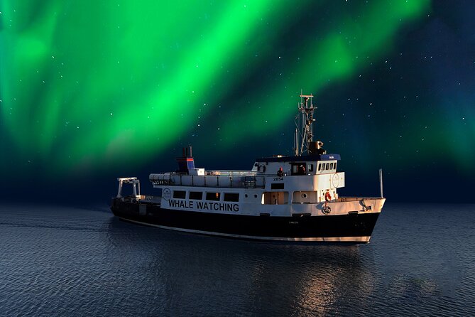 Northern Lights Boat Cruise From Reykjavik