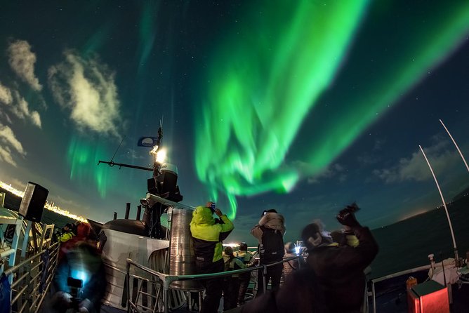 Northern Lights Cruise From Reykjavik Including Photos