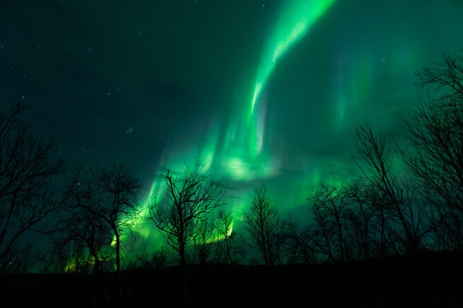 Northern Lights Tour From Kiruna to Abisko With Dinner