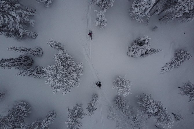 Northern Lights Tour With Skis Or Snowshoes in Pyhä