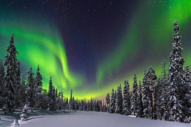 Northern Lights Trip With an Overnight Stay in a Snow Igloo