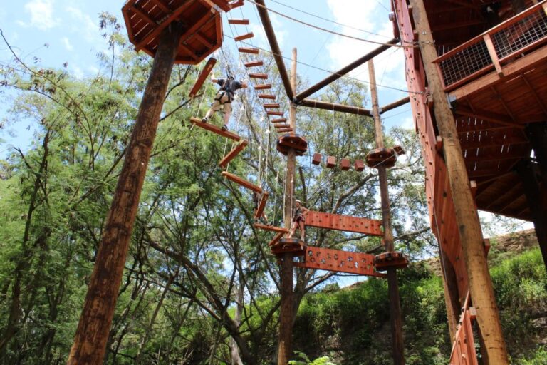 Oahu: Aerial Adventure, Climbing, & Freefall Experience