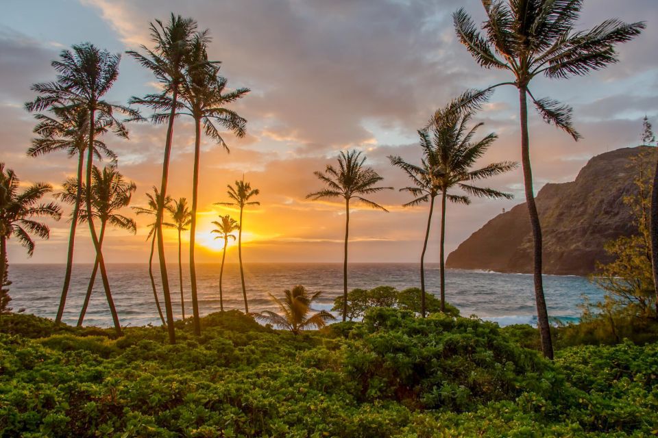 1 oahu honolulu sunrise photos tour with malasadas Oahu: Honolulu Sunrise Photos Tour With Malasadas
