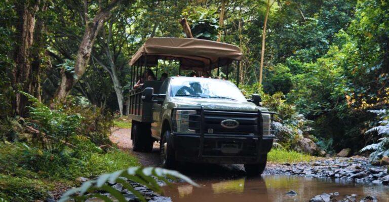 Oahu: Kualoa Open Air Jungle Expedition Tour