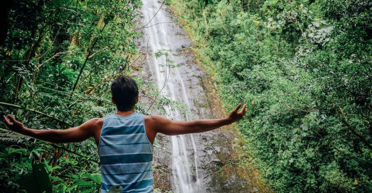 1 oahu manoa falls waterfall hike with lunch and transfers Oahu: Manoa Falls Waterfall Hike With Lunch and Transfers