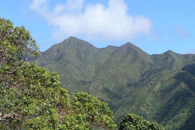 1 oahu volcanic rainforest hiking adventure Oahu Volcanic Rainforest Hiking Adventure