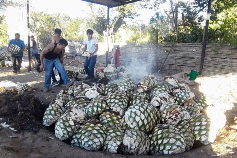 Oaxaca: Ancestral Mezcal Tasting in Ocotlan Valley