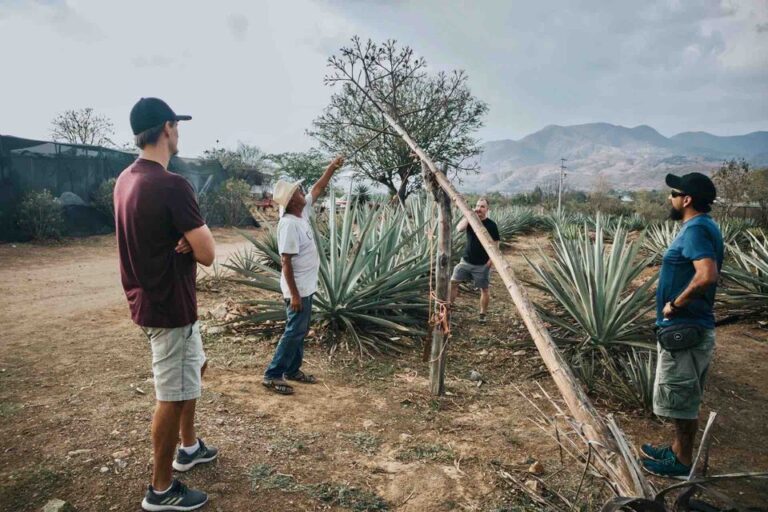 Oaxaca: Crafts & Cuisine Culture Tour