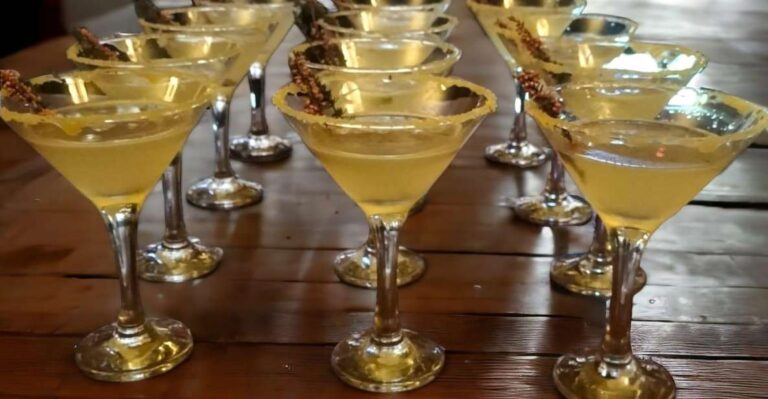 Oban: Scottish Gin & Cocktail Tasting