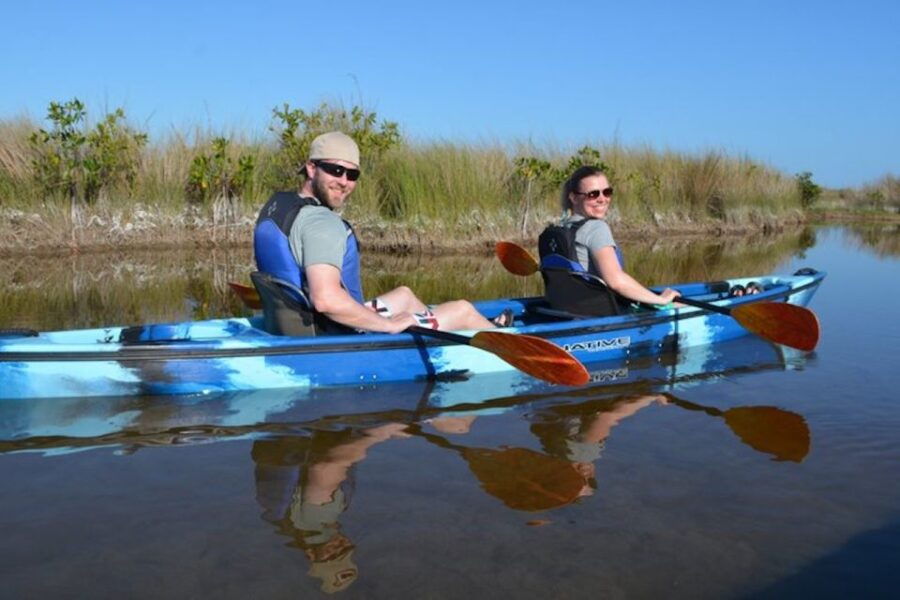 Ochopee: Half-Day Mangrove Tunnel Kayak Tour