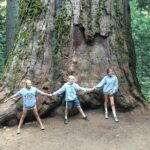 1 off road giant sequoia 4x4 tour Off-Road Giant Sequoia 4x4 Tour