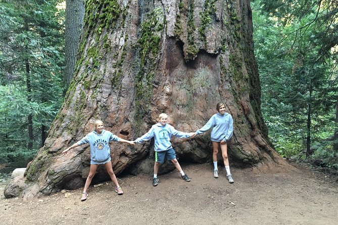 Off-Road Giant Sequoia 4×4 Tour