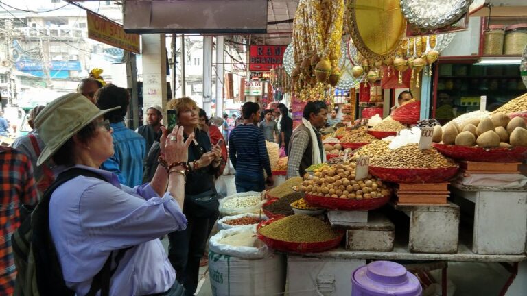 Old Delhi Shopping Experience