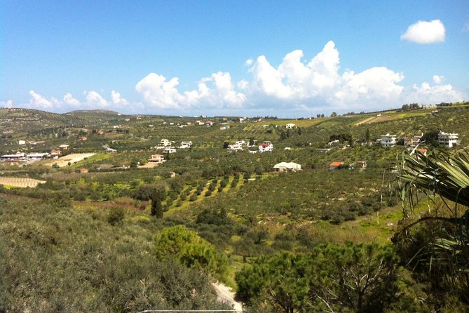 Olive Oil & Wine Now & Then Luxury Private Experience