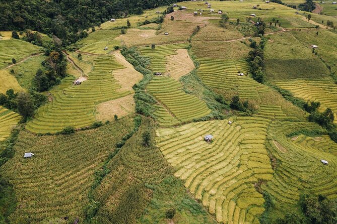 One Day Doi Inthanon & Trekking at Pha Dok Siew