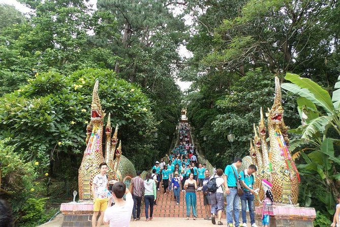 One Day Doi Suthep Temple, Longneck Hill Tribe & Sticky Waterfall