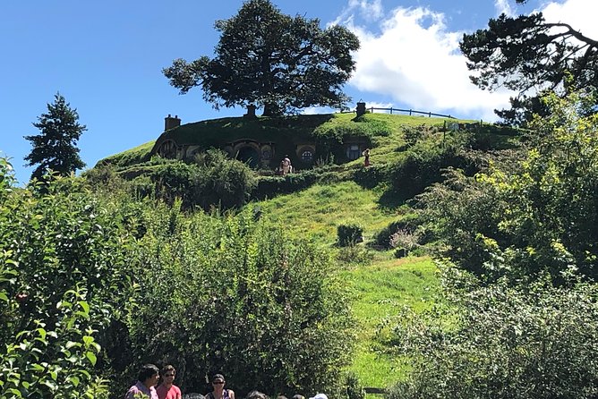 One Day Hobbiton Movie Set Visit From Auckland