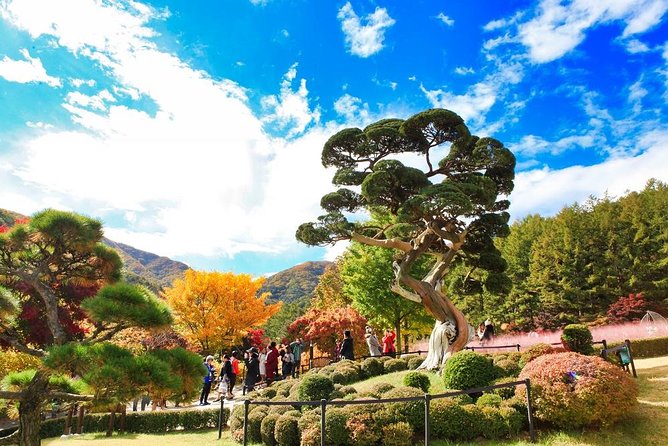 One Day Private Tour-Nami Island, Petite and Garden of Morning Calm(Incl. Lunch)