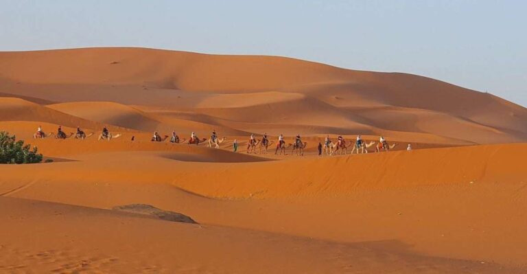 One Way Trip From Merzouga to Fes (Only Transportation )