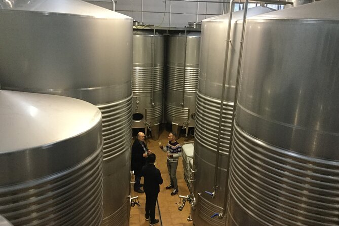 Organic Winery Visit With Tasting in Bilbao