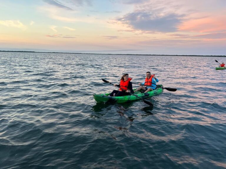 Orlando: Bioluminescence Clear Kayak Or Paddleboard Tour