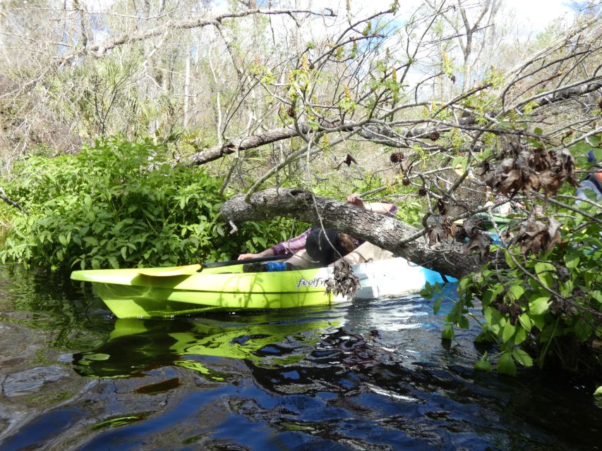 Orlando Kayak Tour: Blackwater Creek Scenic River With Lunch - Experience Details