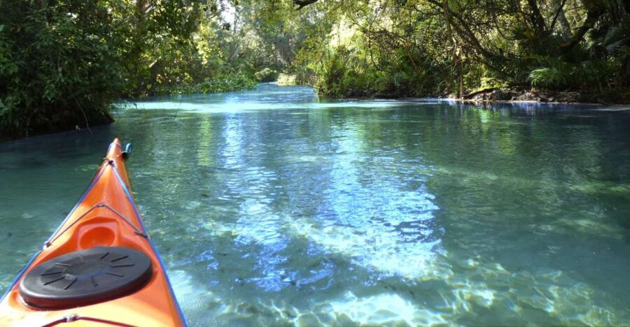 Orlando: Small Group Rock Springs Run Kayak Tour