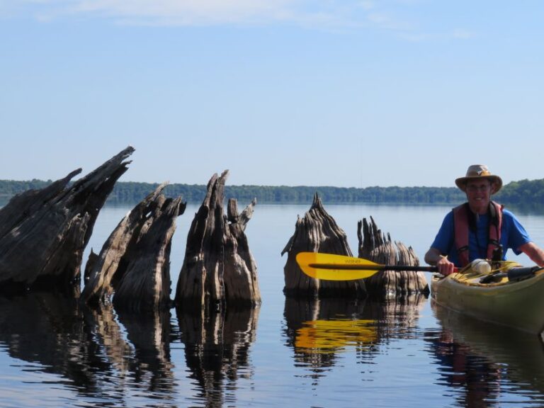 Orlando’s Lake Norris: 5-Hour Kayak Explorer Tour With Lunch