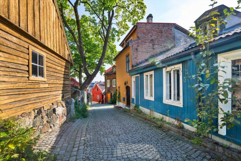 Oslo Private Tour: Hidden Gems City Walk With Local & Dog