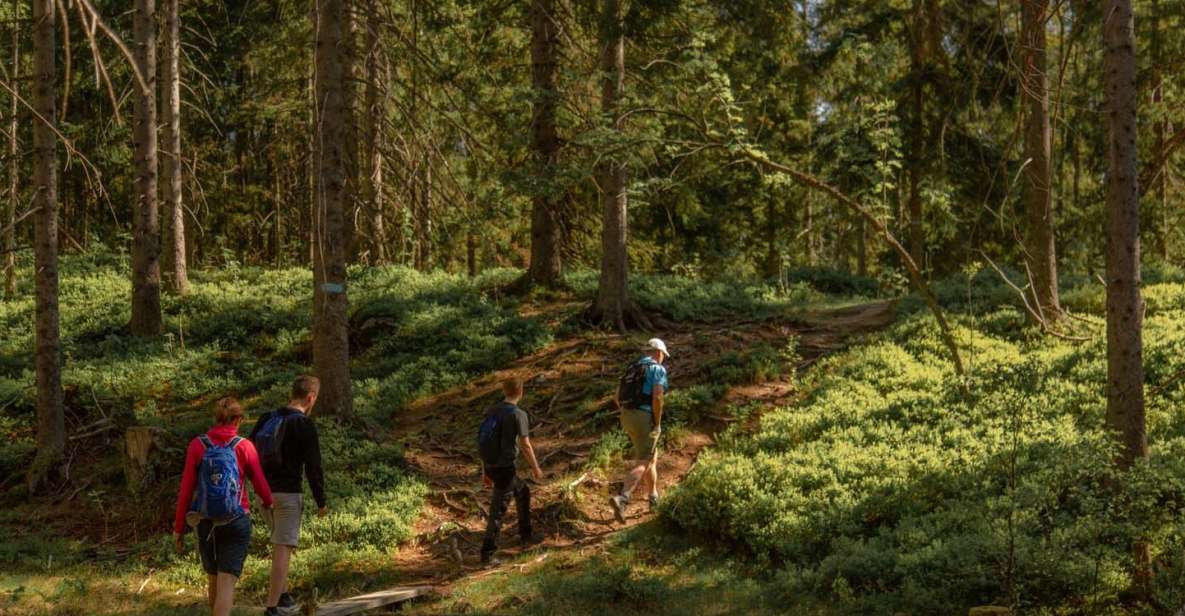 Oslo: Skjennungstoppen Wildlife Forest Hiking Tour