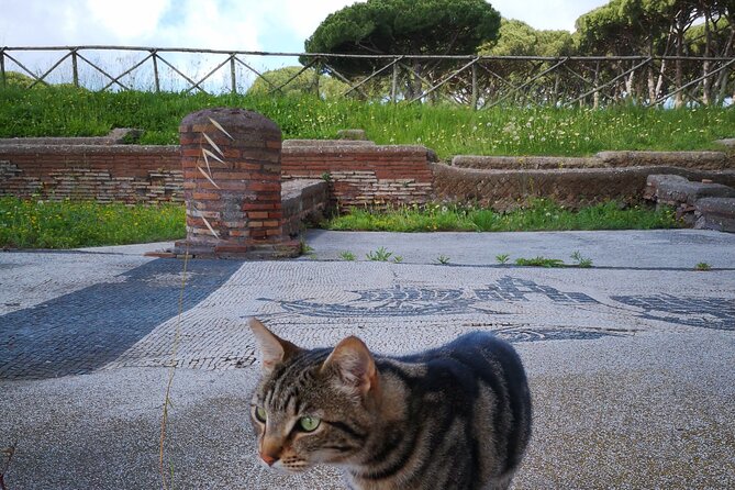 Ostia Antica Archaeological Site and Old Town Private Tour  – Rome